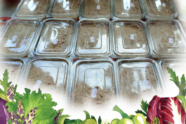 pastetom0B77A425-C4AB-43B3-9D51-B9E2A3C57A96.png